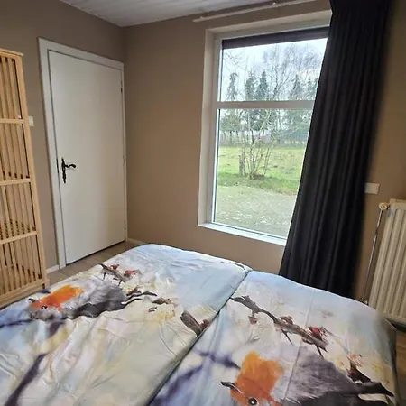 Huuske Nijholt * Veulen