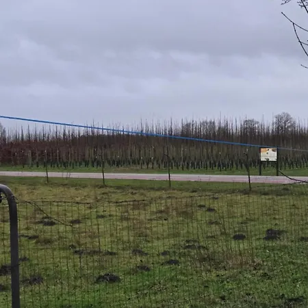 Huuske Nijholt Veulen