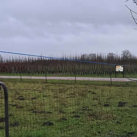 Vakantiehuis Huuske Nijholt *