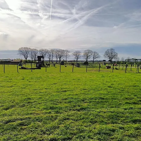 Huuske Nijholt Veulen