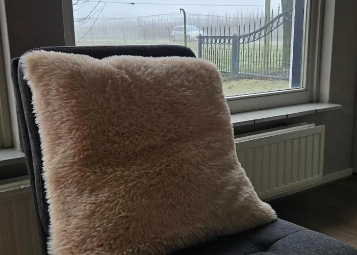 Huuske Nijholt Veulen