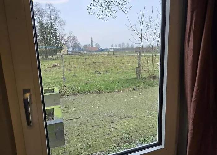 Huuske Nijholt * Veulen