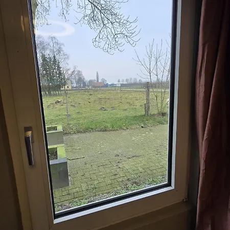 Huuske Nijholt * Veulen