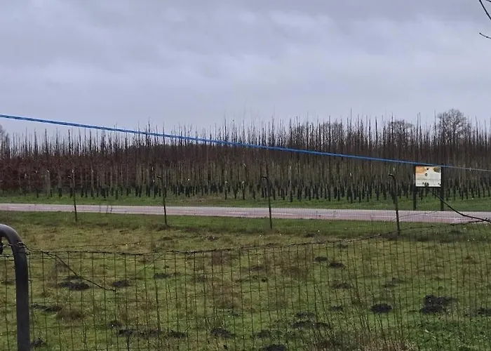 Дом отдыха Huuske Nijholt *