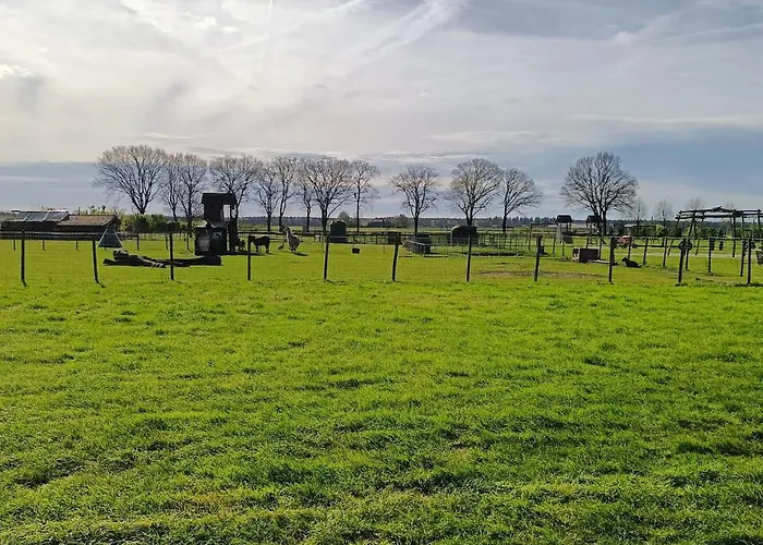 Huuske Nijholt Veulen